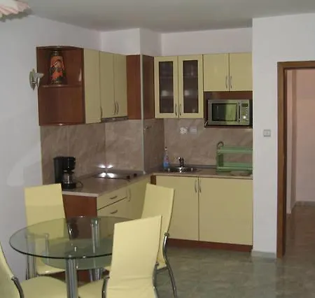 In The House Of Informat سفيتي فلاس